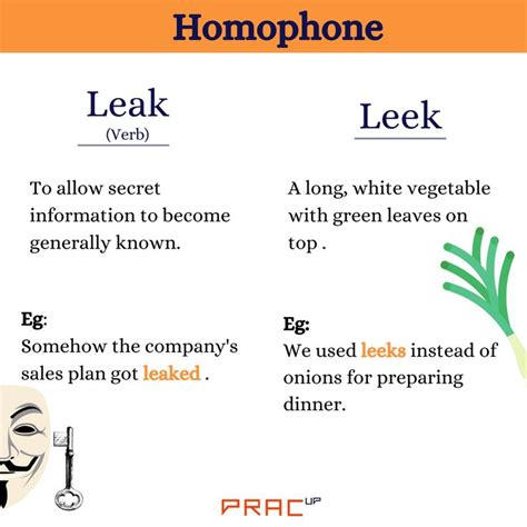 leek vs leak|Leek vs Leak